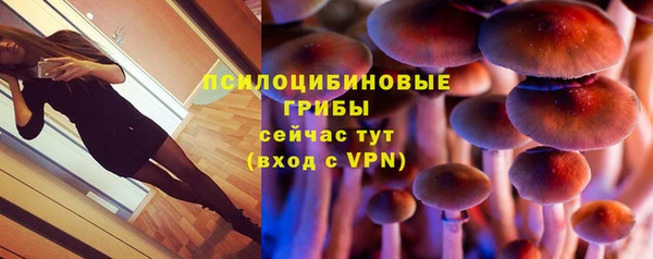 стафф Гусь-Хрустальный