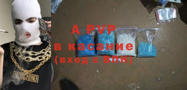 ГАЛЛЮЦИНОГЕННЫЕ ГРИБЫ Гусев