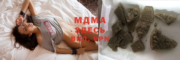 ГАЛЛЮЦИНОГЕННЫЕ ГРИБЫ Гусев