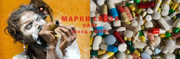 ГАЛЛЮЦИНОГЕННЫЕ ГРИБЫ Гусев
