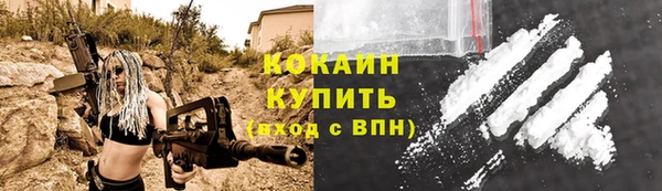 ГАЛЛЮЦИНОГЕННЫЕ ГРИБЫ Гусев