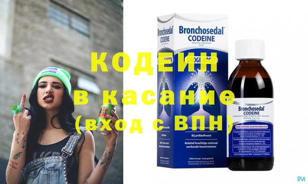 ГАЛЛЮЦИНОГЕННЫЕ ГРИБЫ Гусев