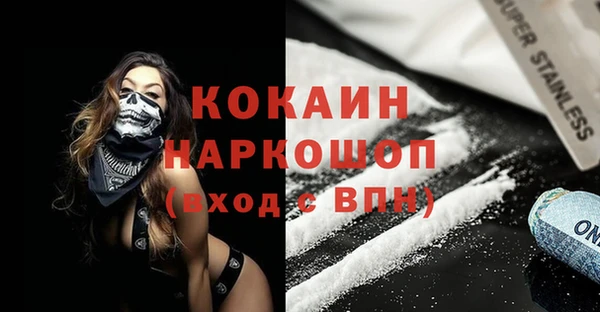 ГАЛЛЮЦИНОГЕННЫЕ ГРИБЫ Гусев