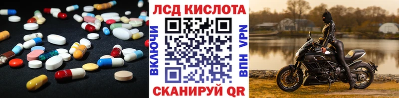 Купить закладки  Кингисепп  LSD-25 экстази ecstasy 